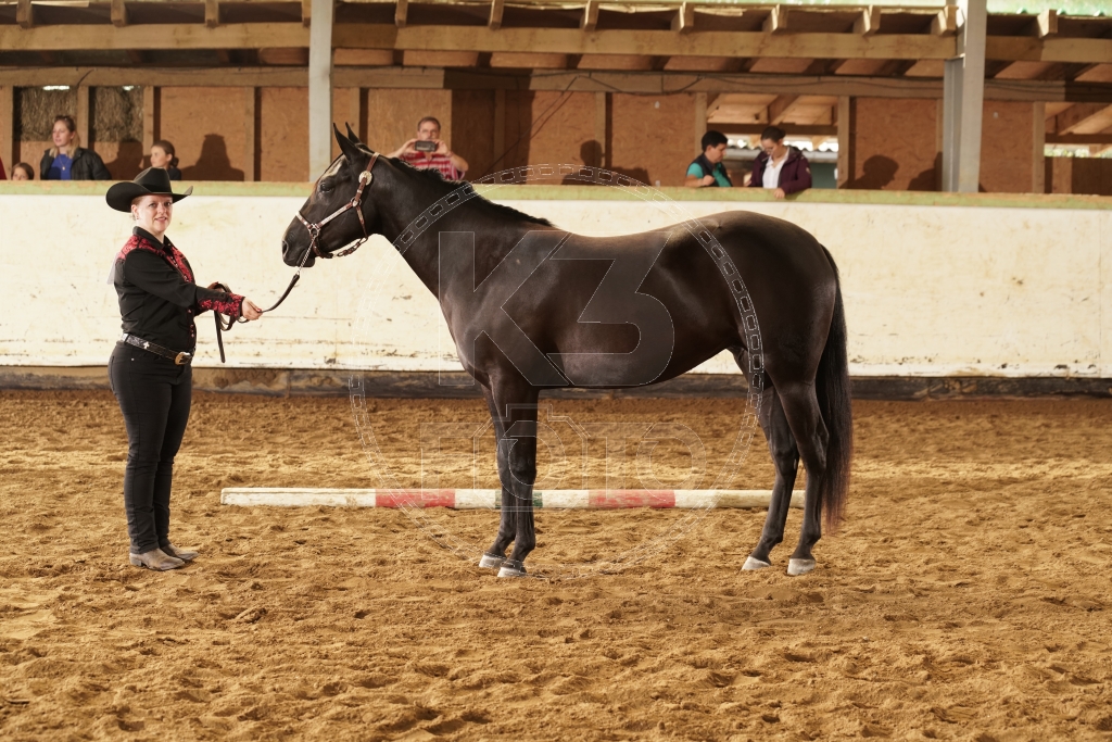 s_K3F04384.JPG